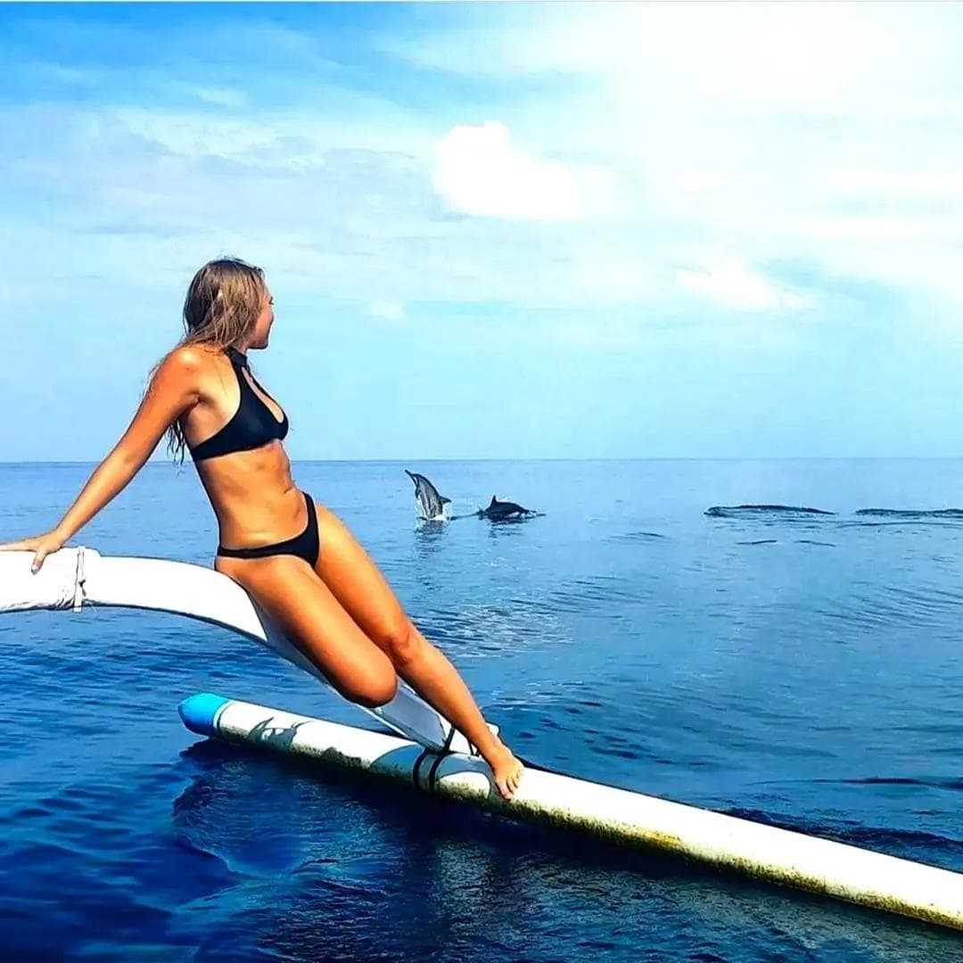 Dolphin Watching Tour