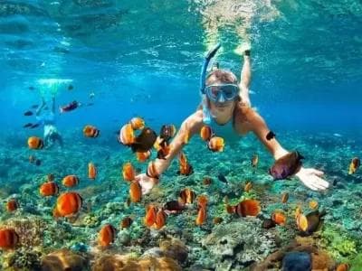 Snorkeling at Menjangan the Underwater Paradise