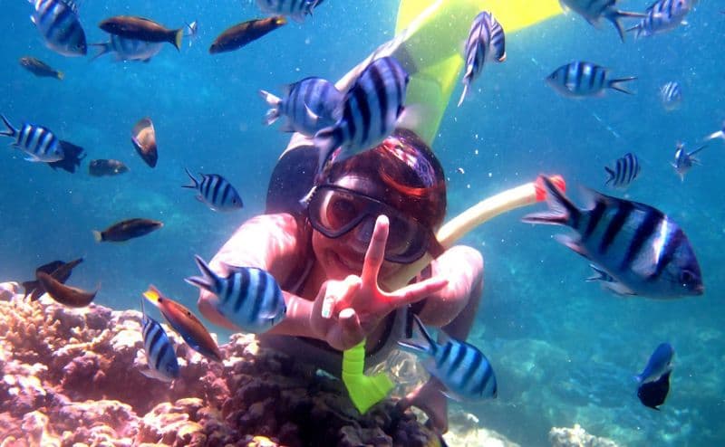 Snorkeling Lovina